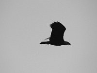 10-07-11-Mattawoman-9435