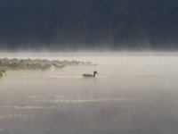 10-07-11-Mattawoman-9470