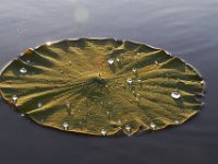 10-07-11-Mattawoman-9654