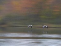 10-22-11-Little Seneca Lake-0523