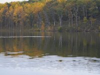 10-22-11-Little Seneca Lake-0545
