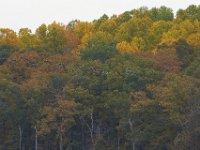 10-22-11-Little Seneca Lake-0581