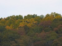 10-22-11-Little Seneca Lake-0583