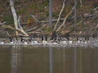 10-22-11-Little Seneca Lake-0648