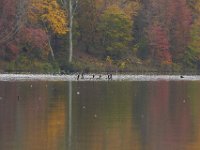 10-22-11-Little Seneca Lake-0664