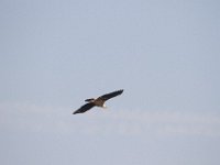 10-23-11-St Marys Lake-0911