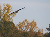 10-23-11-St Marys Lake-0912