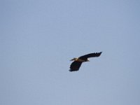 10-23-11-St Marys Lake-0918