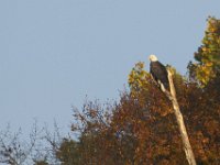 10-23-11-St Marys Lake-0933