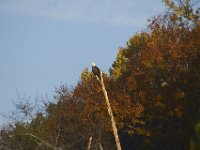 10-23-11-St Marys Lake-0935