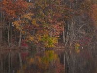 11-05-11-Rocky Gorge-1205