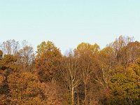 11-05-11-Rocky Gorge-1264