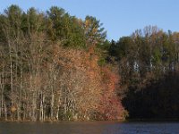 11-05-11-Rocky Gorge-1458