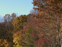 11-05-11-Rocky Gorge-1550