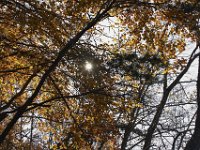 11-05-11-Rocky Gorge-1561