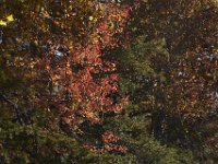 11-05-11-Rocky Gorge-1577