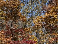 11-05-11-Rocky Gorge-1598