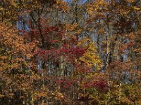 11-05-11-Rocky Gorge-1600