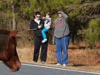 11-12-11-Assateague-2208
