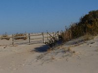 11-12-11-Assateague-2240