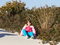 11-12-11-Assateague-2253