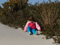 11-12-11-Assateague-2256
