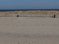 11-12-11-Assateague-2313
