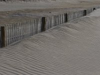11-12-11-Assateague-2316