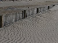 11-12-11-Assateague-2317