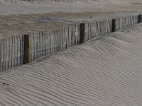 11-12-11-Assateague-2319