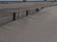 11-12-11-Assateague-2321