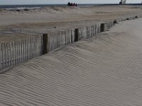 11-12-11-Assateague-2322