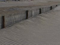 11-12-11-Assateague-2324