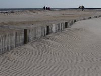 11-12-11-Assateague-2327