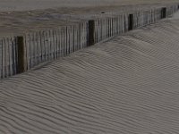 11-12-11-Assateague-2328