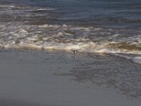 11-12-11-Assateague-2360