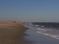11-12-11-Assateague-2412