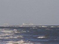 11-12-11-Assateague-2427
