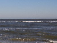 11-12-11-Assateague-2438