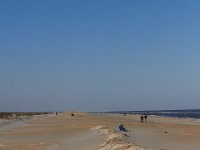 11-12-11-Assateague-2456
