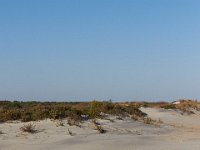 11-12-11-Assateague-2459