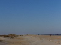 11-12-11-Assateague-2460