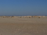 11-12-11-Assateague-2461