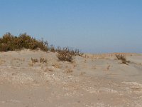 11-12-11-Assateague-2462