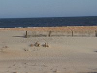 11-12-11-Assateague-2473