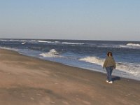 11-12-11-Assateague-2490