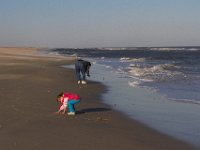 11-12-11-Assateague-2503