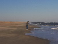 11-12-11-Assateague-2513