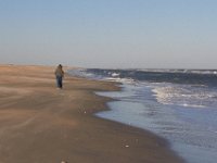 11-12-11-Assateague-2516