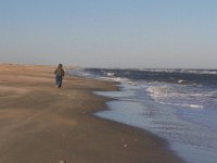 11-12-11-Assateague-2517